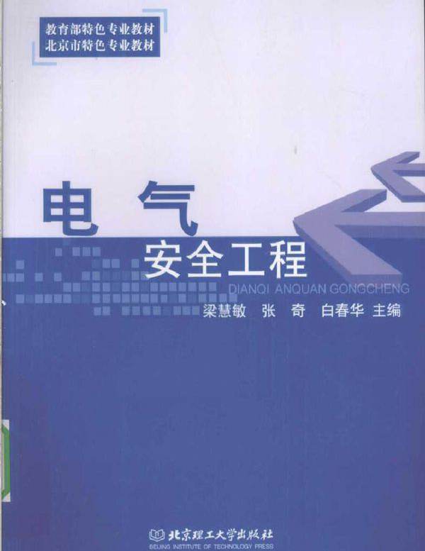 电气安全工程 (2010版)