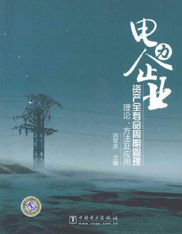 电力企业资产全寿命周期管理 理论 方法及应用