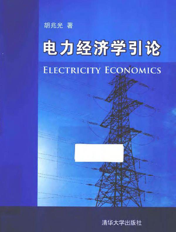电力经济学引论