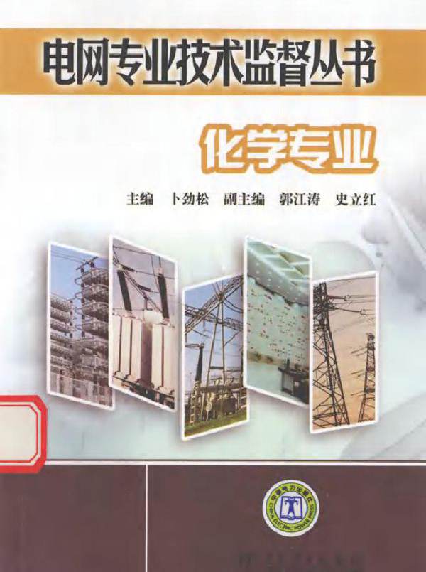 电网专业技术监督丛书 化学专业