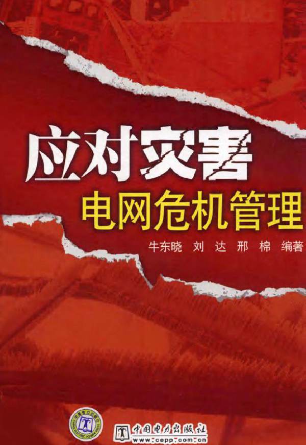 应对灾害 电网危机管理