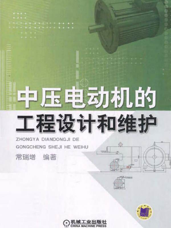 中压电动机的工程设计和维护