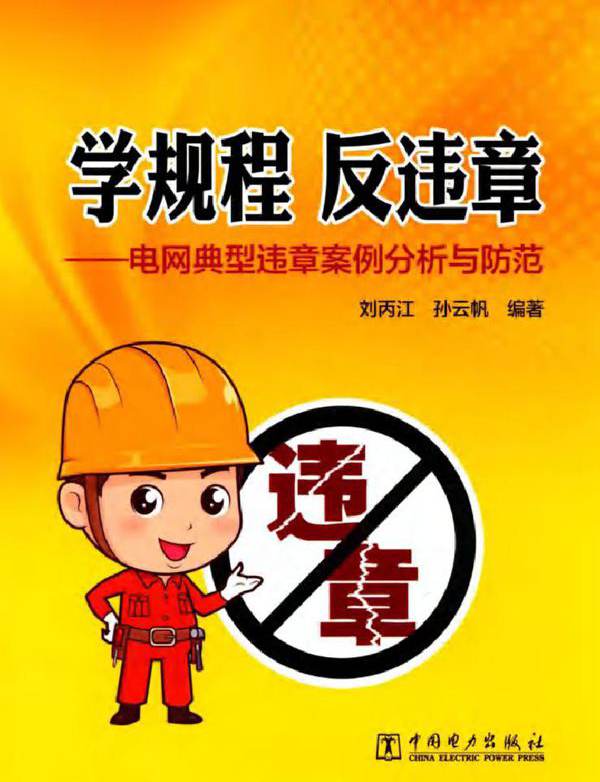 学规程 反违章 电网典型违章案例分析与防范