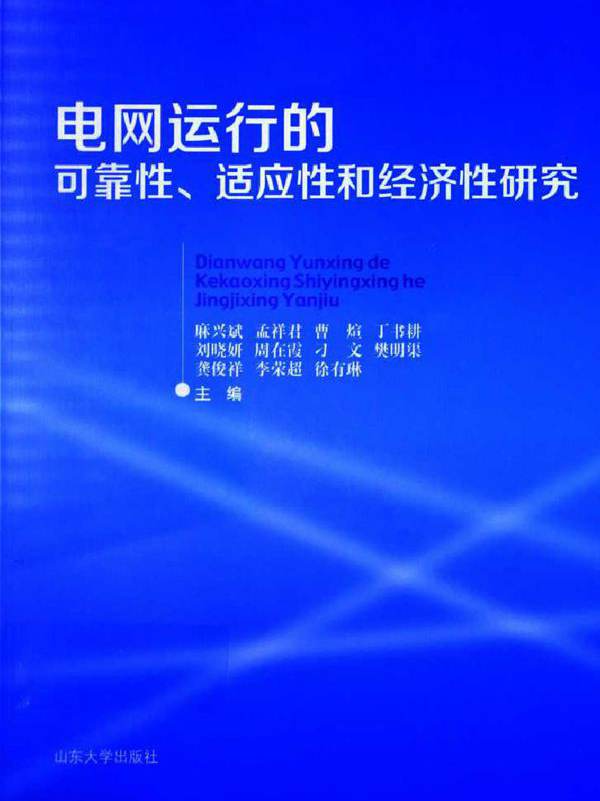 电网运行的可靠性 适应性和经济性研究