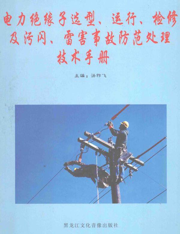 电力绝缘子选型 运行 检修及污闪 雷害事故防范处理技术手册 第2卷