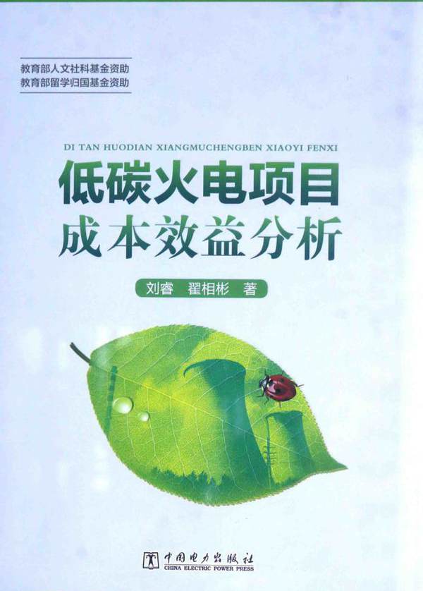 低碳火电项目成本效益分析