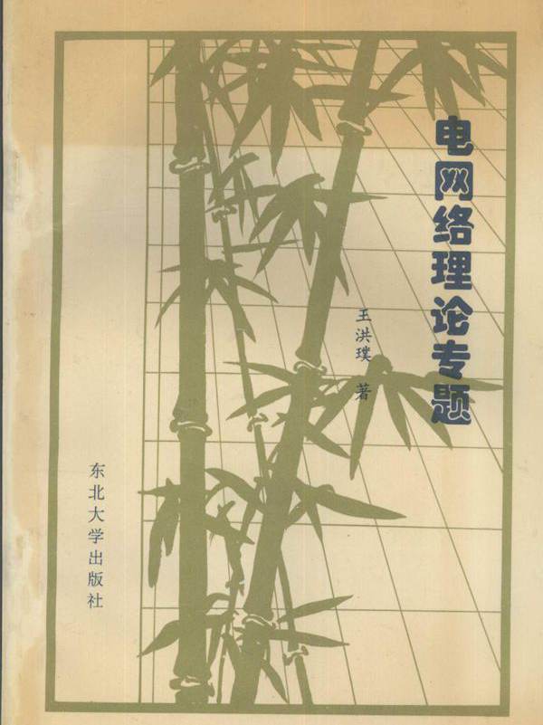 电网络理论专题 (王洪璞 著)