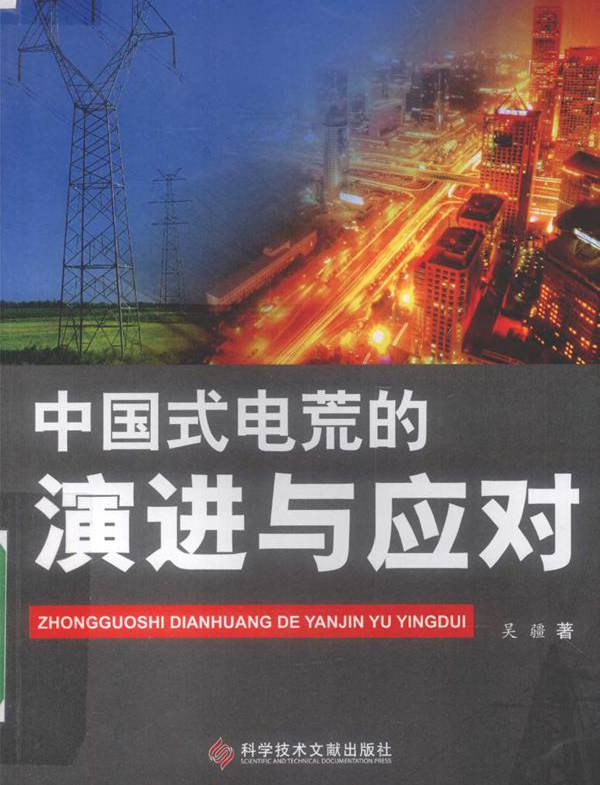 中国式电荒的演进与应对