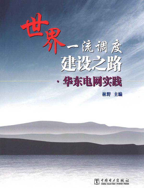 世界一流调度建设之路·华东电网实践 林野 (2012版)