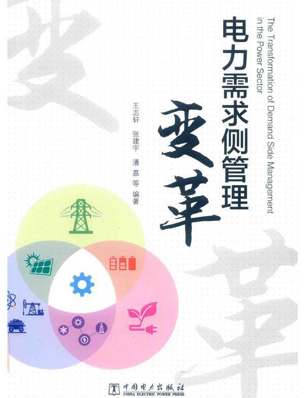 电力需求侧管理变革 王志轩，张建宇，潘荔，张晶杰，杨帆，王昊，秦虎，杨坤，林凡，王桂珍 (2018版)