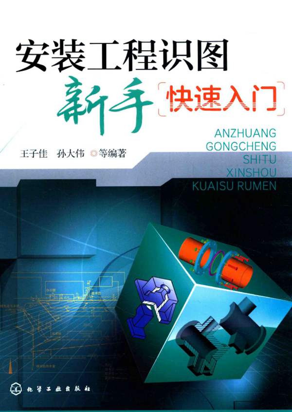 安装工程-识图新手快速入门 王子佳 孙大伟