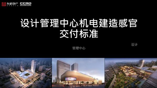 东岭地产-机电专业感官交付标准考察总结PPT