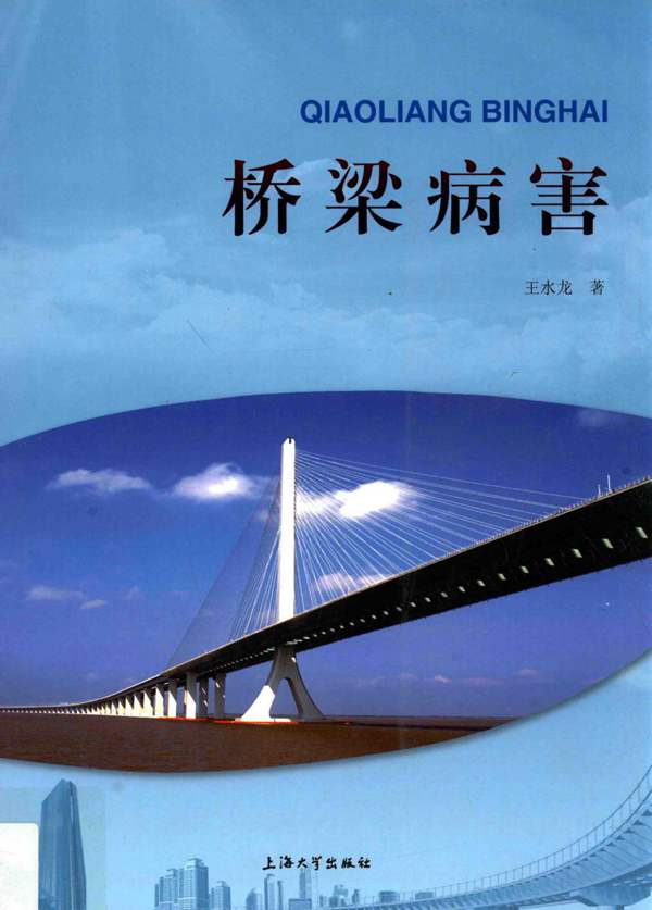 桥梁病害王水龙 2015版