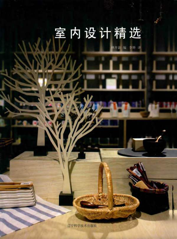 室内设计精选林开新