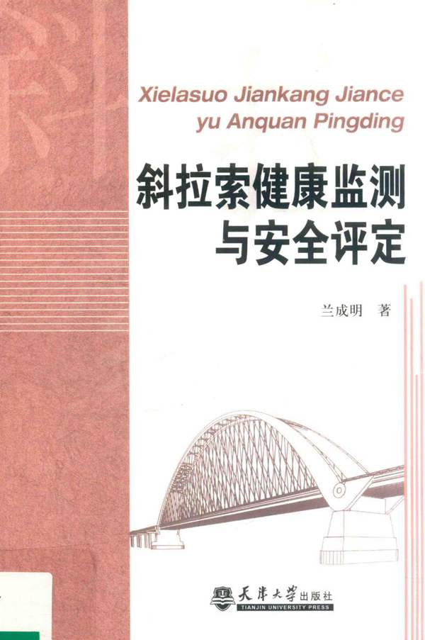 斜拉索健康监测与安全评定兰成明
