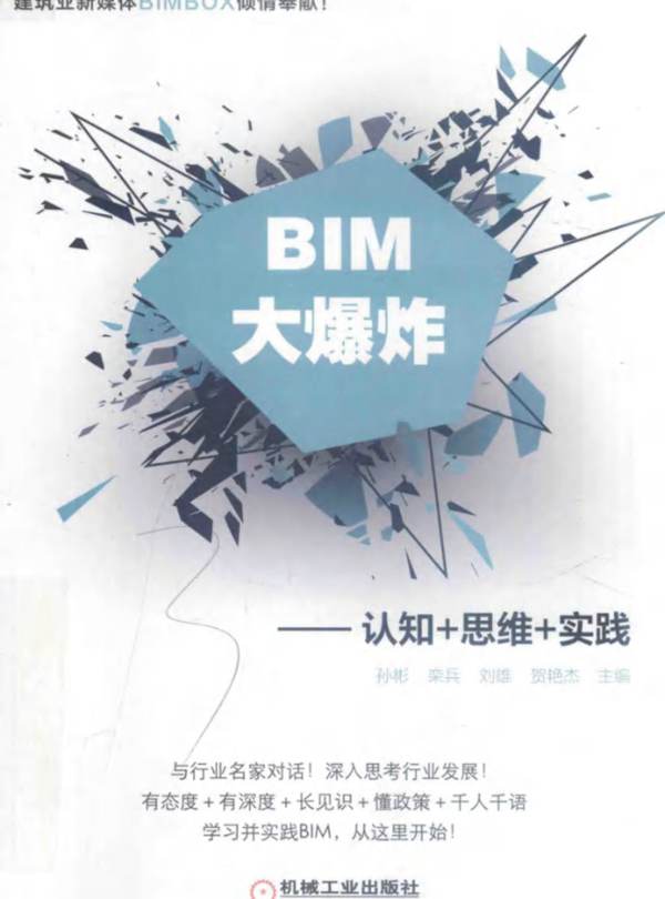 BIM大爆炸：认知+思维+实践 孙彬，栾兵，刘维，贺艳杰  2018年版
