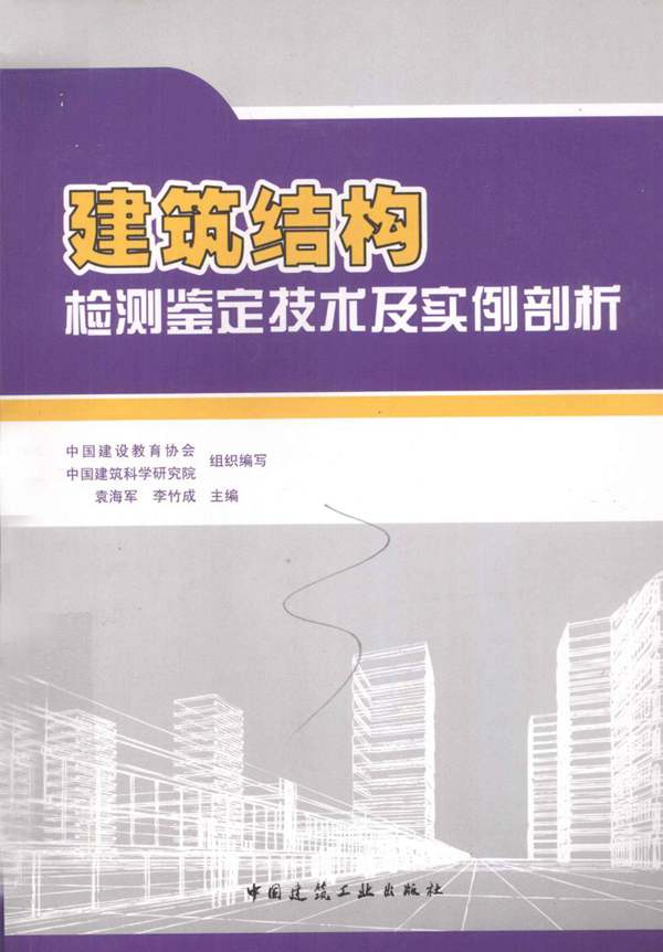 建筑结构检测鉴定技术及实例剖析袁海军 2012年
