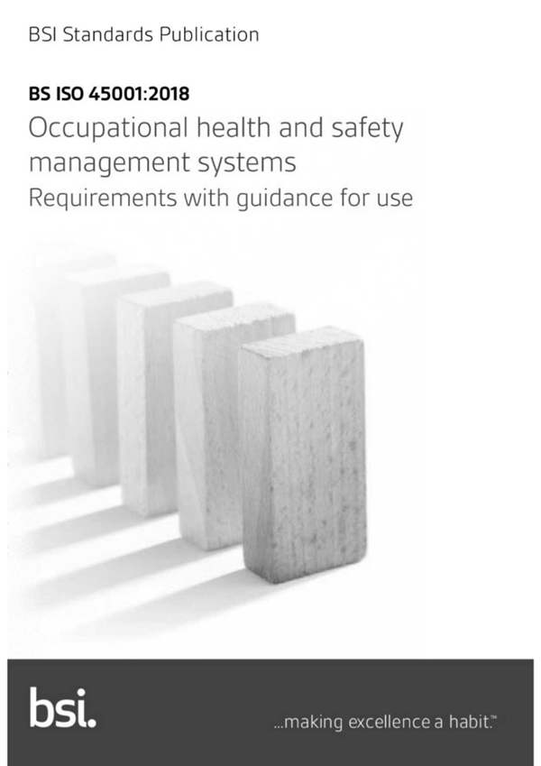 BS ISO 45001：2018 职业健康与安全管理体系要求及实施指南（英文版）